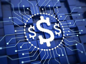 楊望 以數字貨幣破題普惠金融，數字技術服務實體經濟新路徑